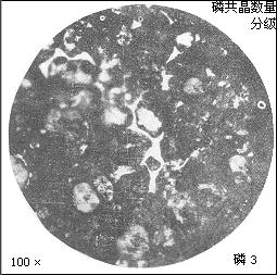 HT250金相組織中磷共晶數量圖譜分析